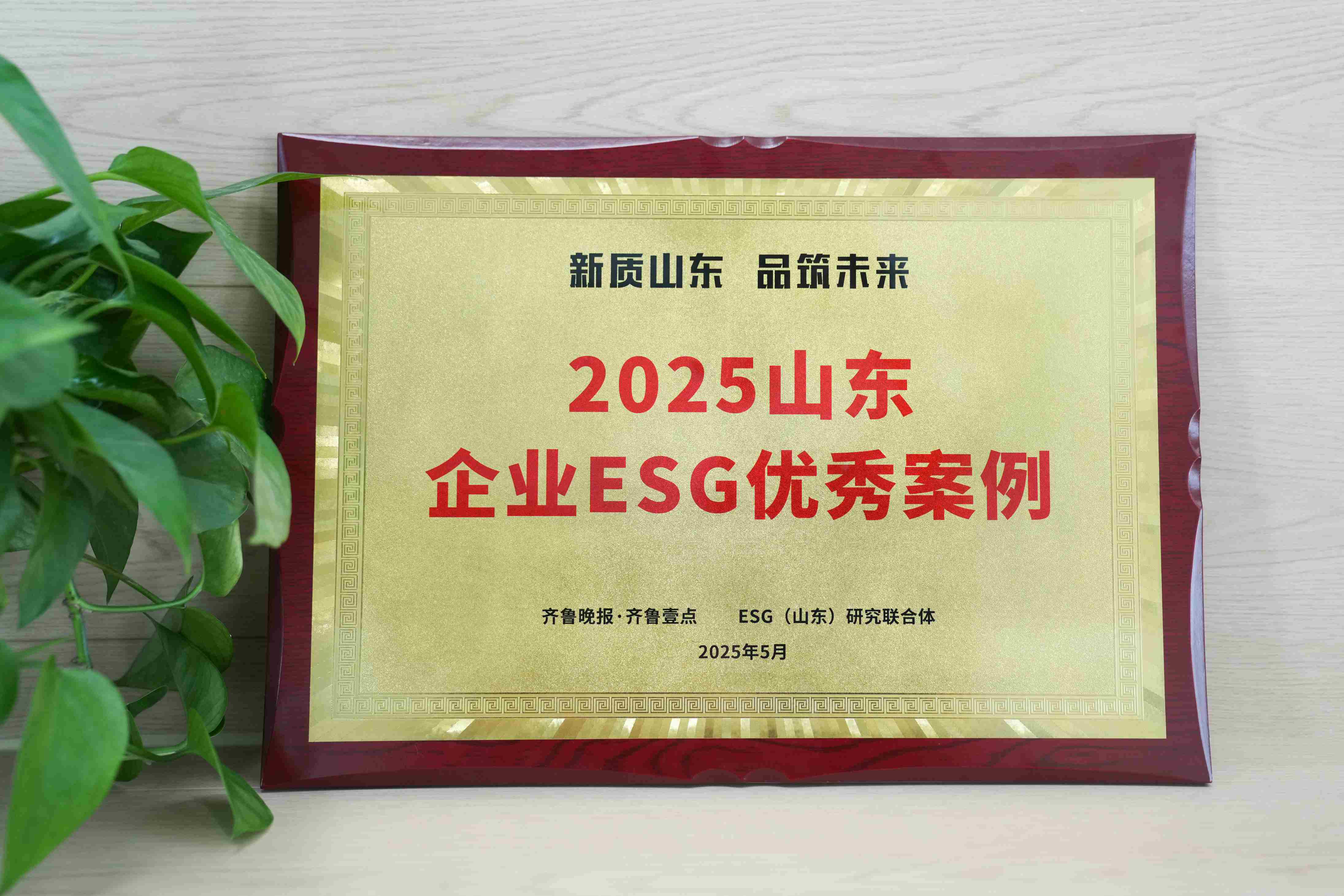 Stake入选2025山东企业ESG优秀案例